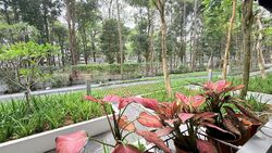 The Canopy (D27), Condominium #638646521